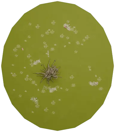 Layout of Swamp A